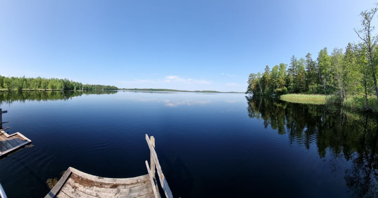 Daily photo 9
